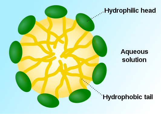 what-are-surfactants.png